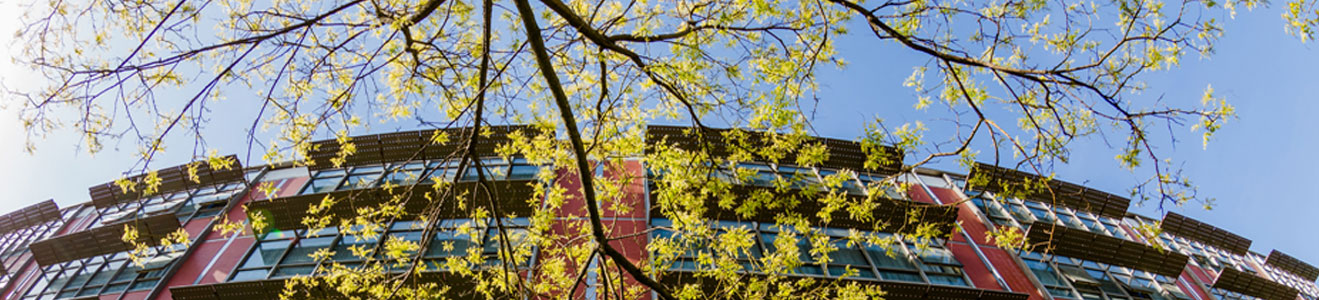 英国上市公司365